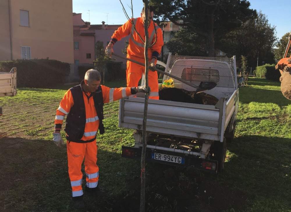 multiservizi caerite