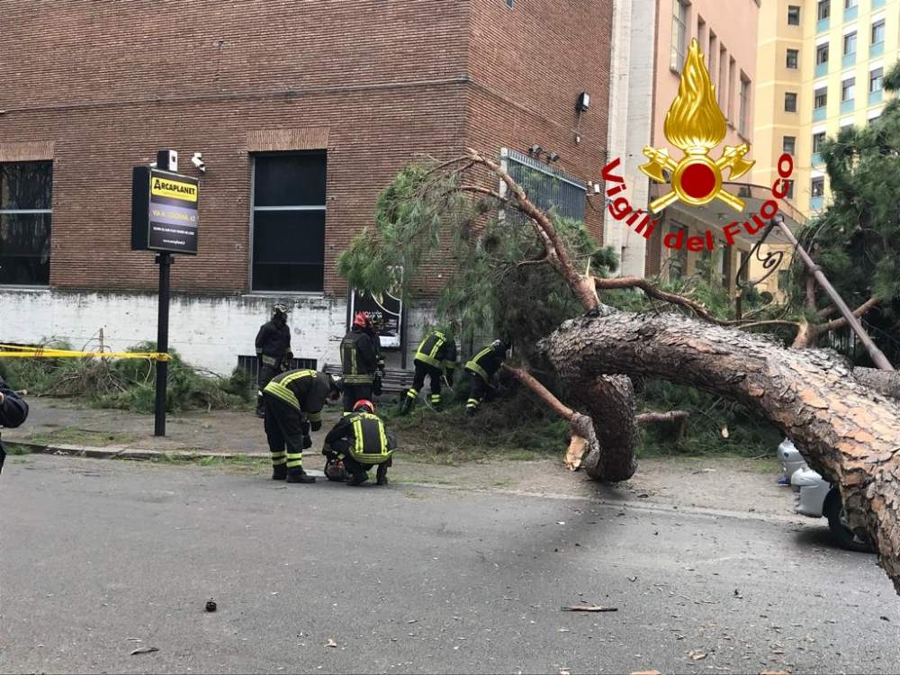 vigili del fuoco prati