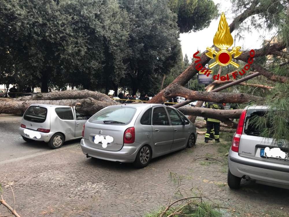 vigili