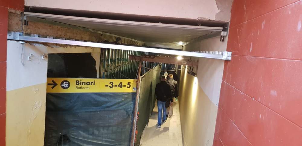 Ardita: “Serpi e topi in prossimità della stazione di Ladispoli, le FS provvedano subito alla pulizia, altrimenti lo faremo noi!”