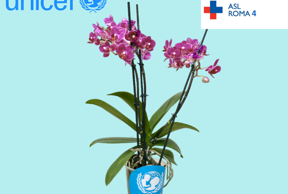 Civitavecchia addobbata dalle orchidee Unicef