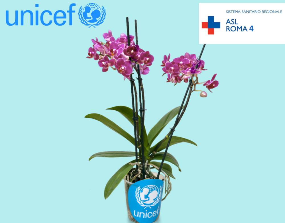 Day to night fashion(2)