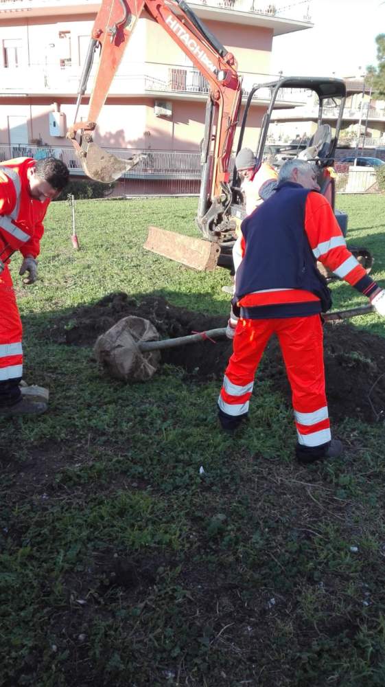 OPERAI MULTISERVIZI CAERITE OPERAI MULTISERVIZI CAERITE