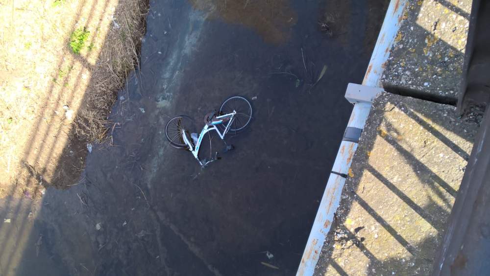 WP_20190314_15_07_37_Pro