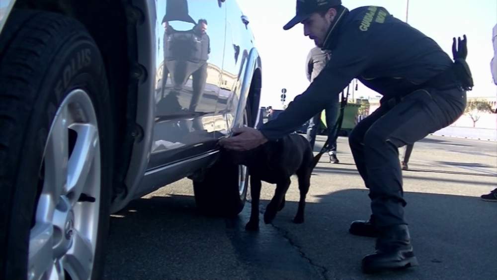 finanza droga porto civitavecchia finanza droga porto civitavecchia