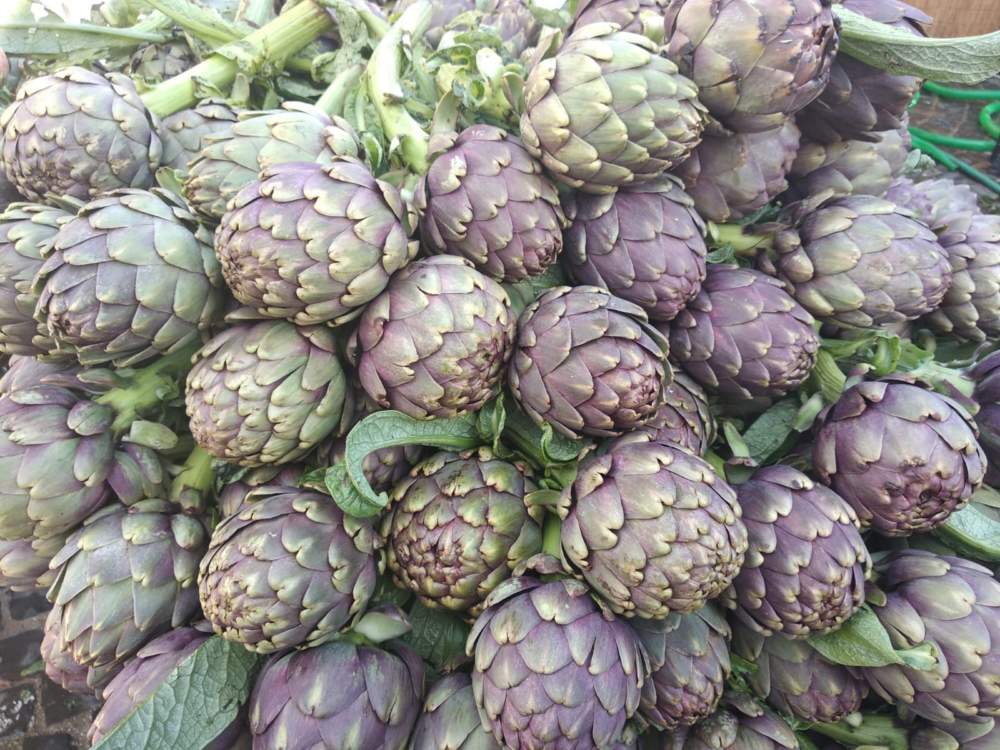 Carciofi sagra