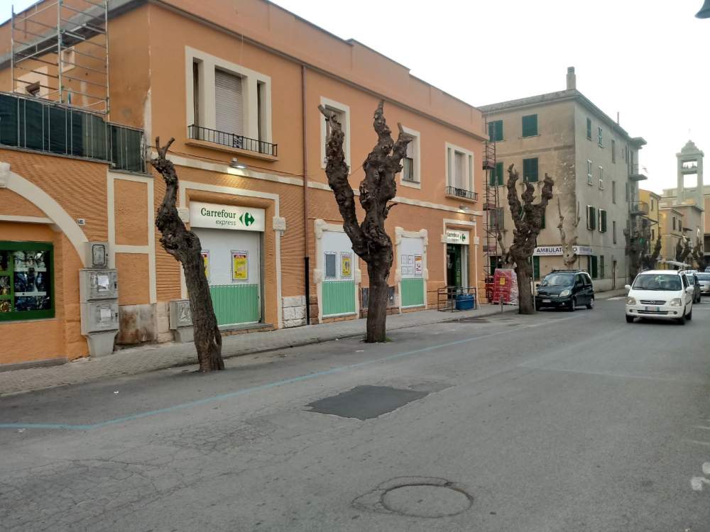 capitozzature potature ladispoli