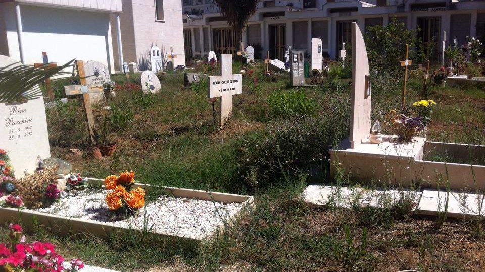 cropped-cimitero-santa-marinella-1.jpg