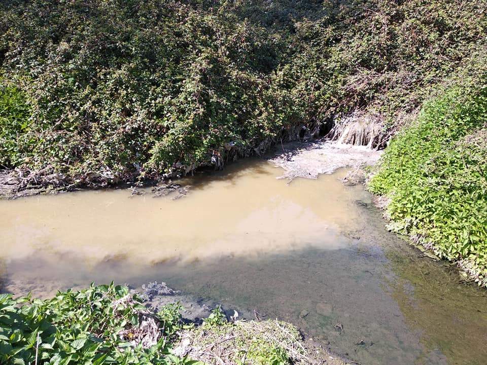 fosso delle campanelle