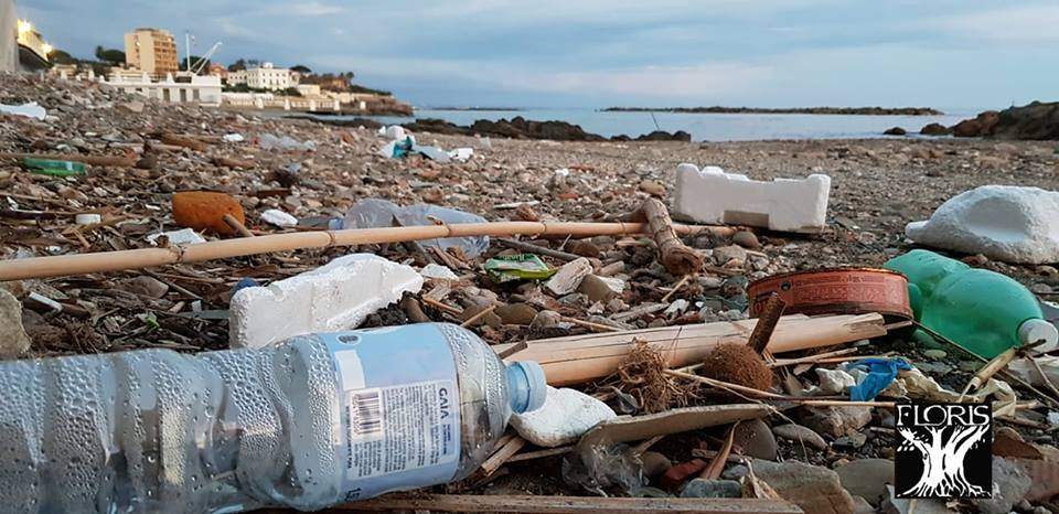 spiaggia rifiuti pulizia santa marinella