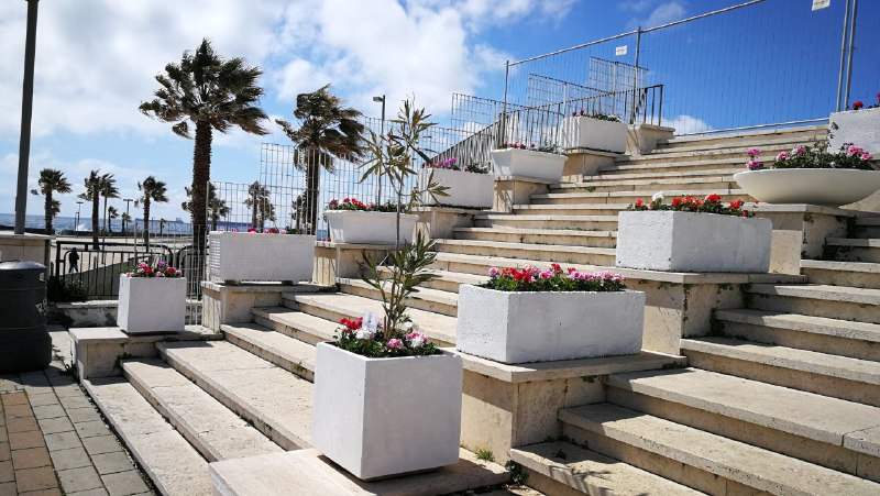 terrazza guglielmi scale civitavecchia