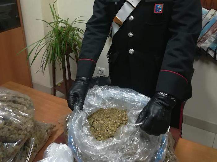 PARIOLI – La droga sequestrata dai Carabinieri