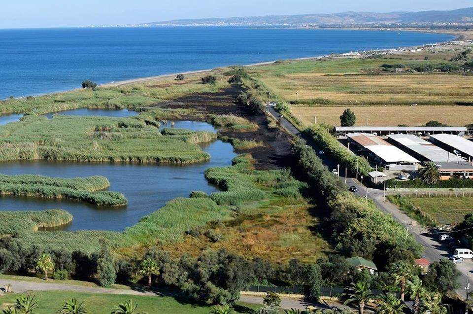 palude torre flavia alto