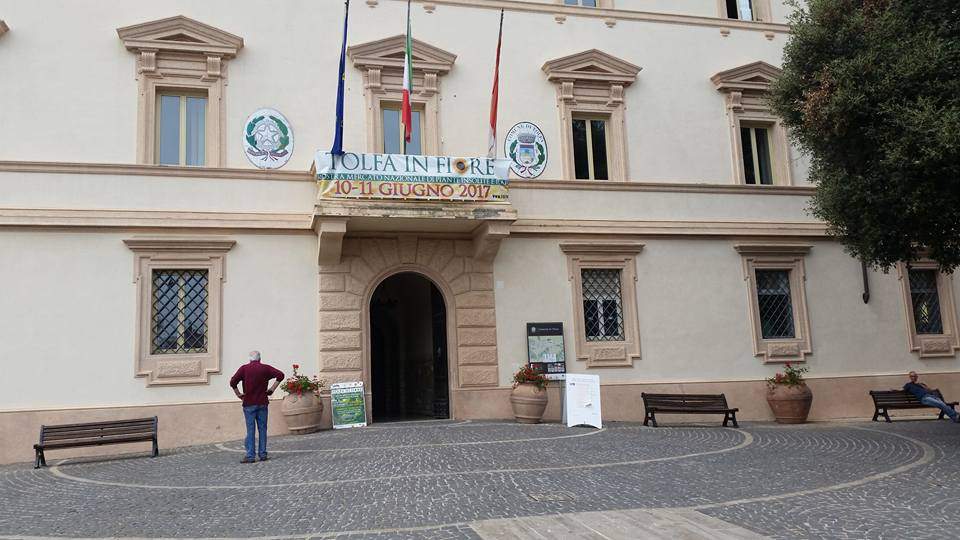 tolfa in fiore comune