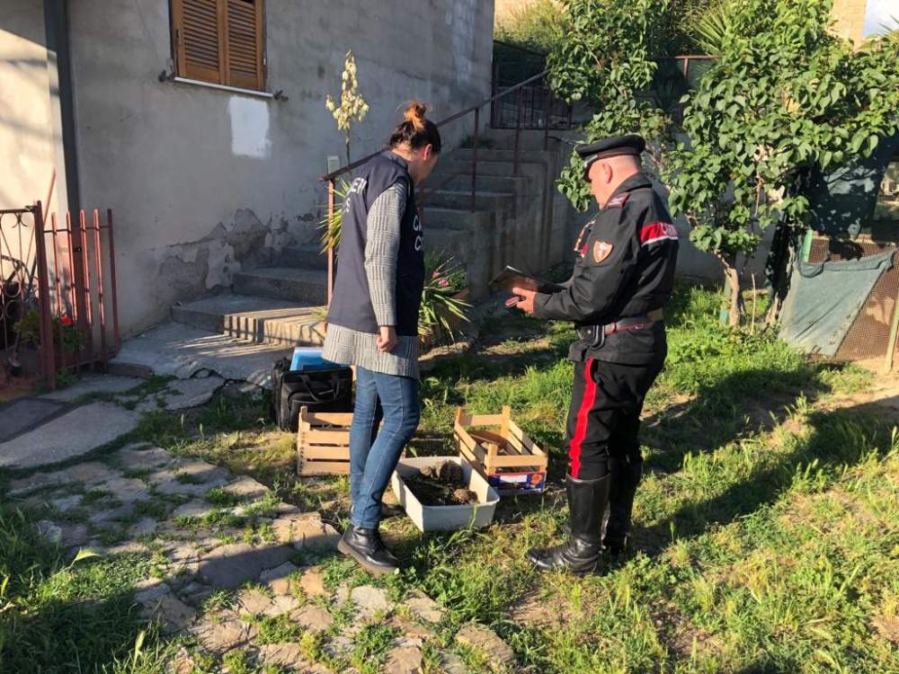 carabinieri cites tartarughe (1)
