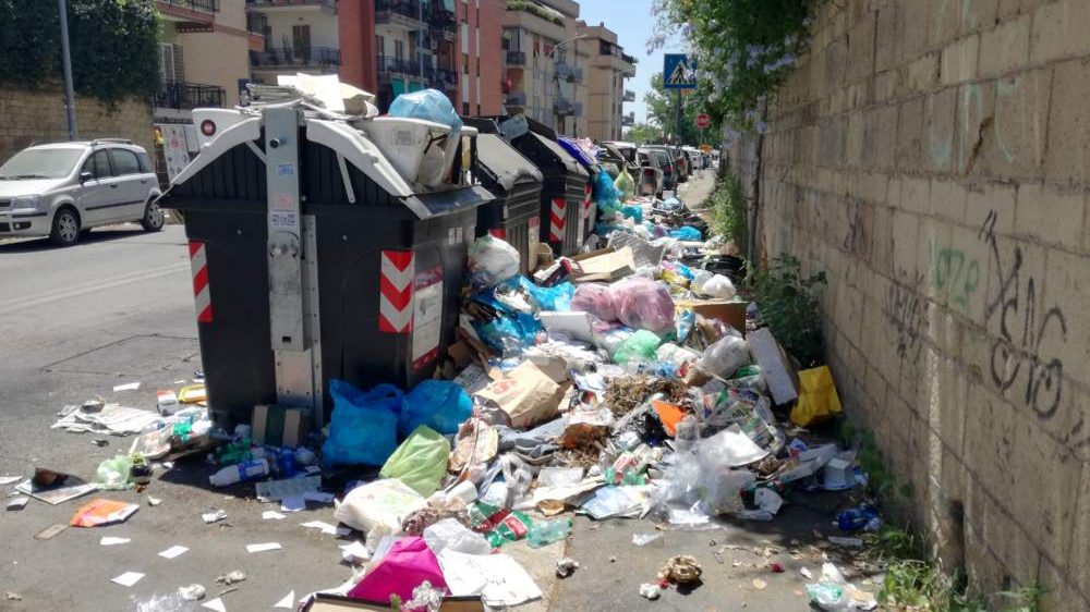 cropped-rifiuti_roma2-1.jpg