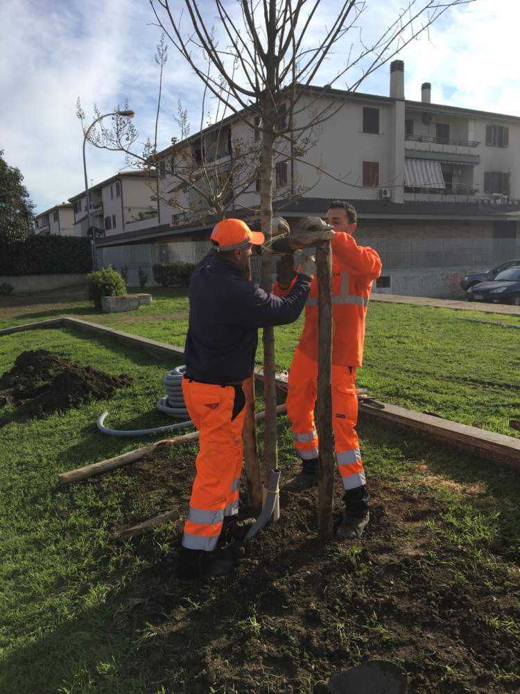 OPERAI MULTISERVIZI caerite