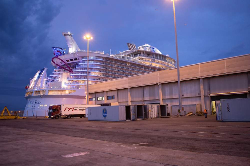 cfft civitavecchia banane 4