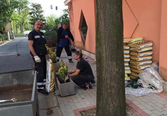fiumicino fiori_cimitero_via portuense