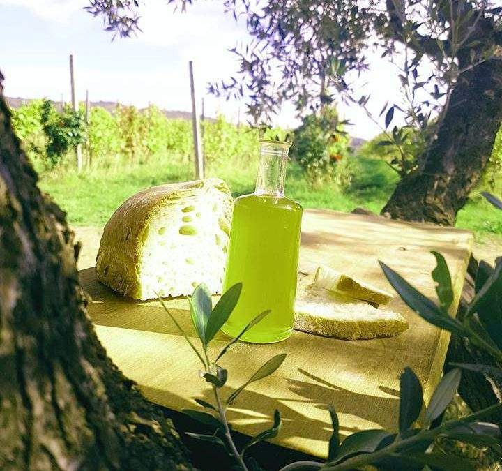 festa olio nuovo a Cerveteri festa olio nuovo a Cerveteri