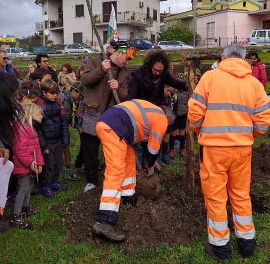 marcia alberi pascucci3