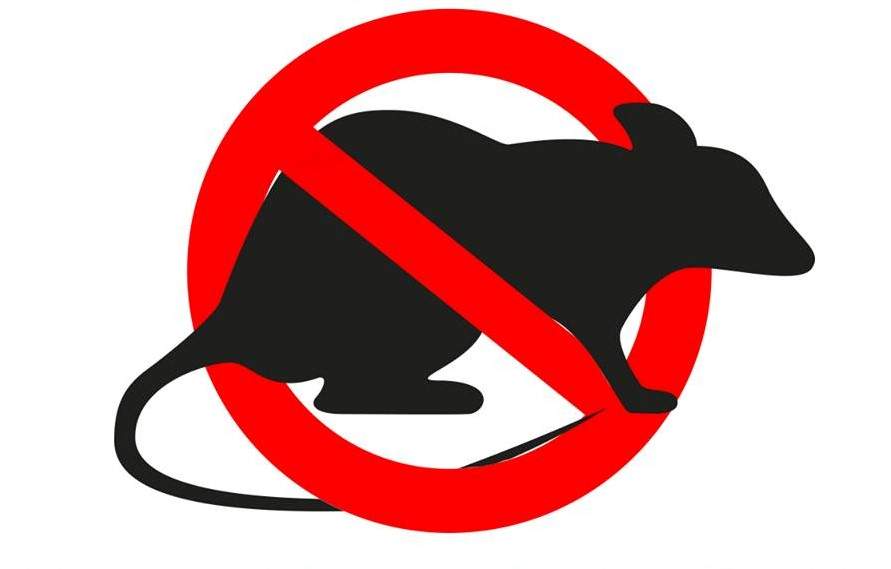 no ratti topi derattizzazione