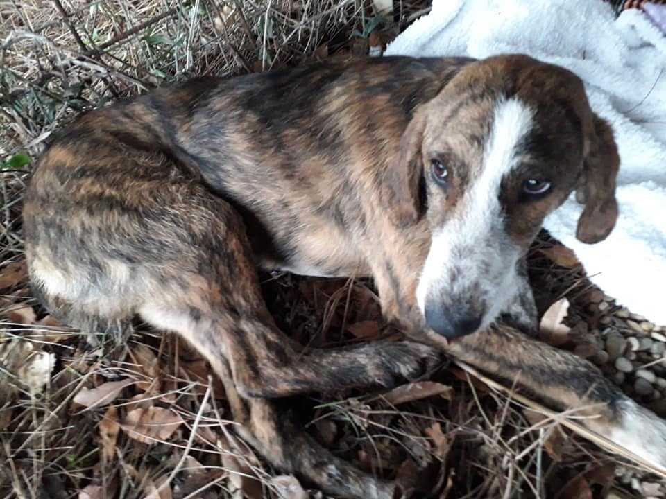 79507398_1552024298262593_9039630647282368512_n