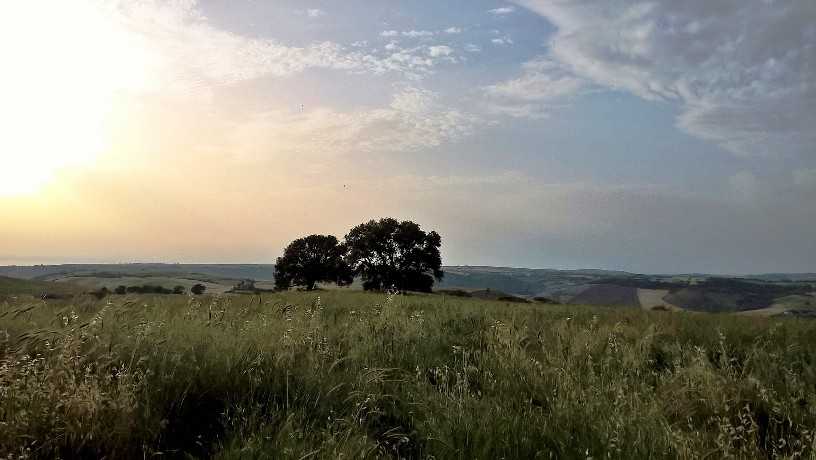 Tuscia, Valle del Mignone tarquinia
