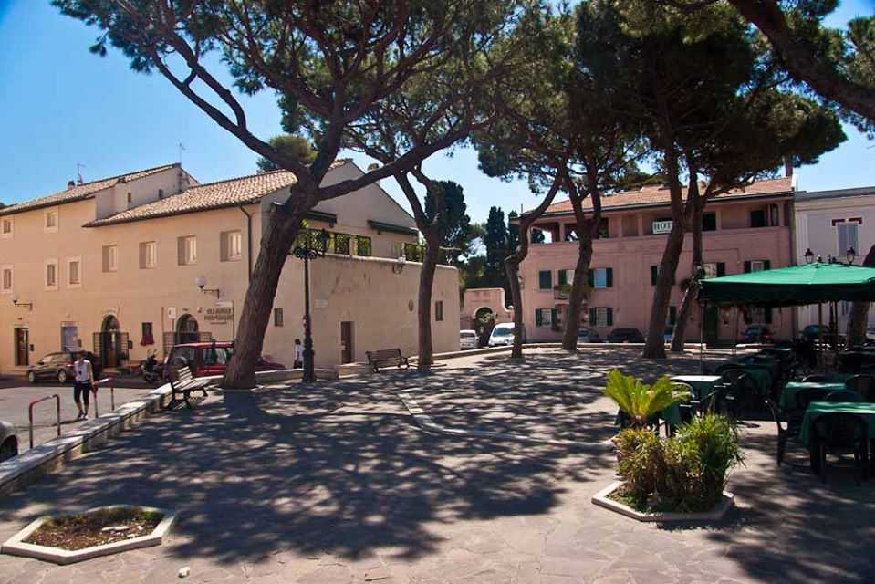 pini piazza trento trieste santa marinella 1