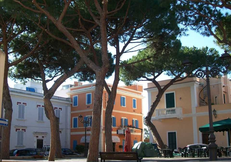 Da abbattere un pino secolare in piazza Trieste a Santa Marinella