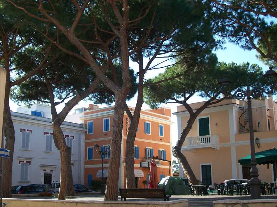 pini piazza trento trieste santa marinella