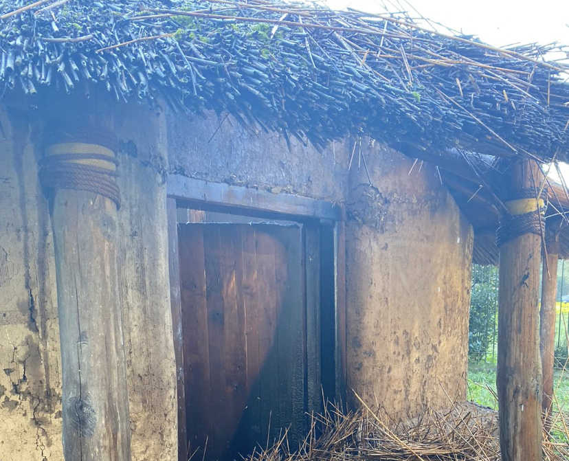 Incendio a Fidene: danneggiata la Casa Protostorica