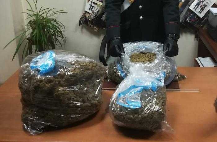 PARIOLI – La droga sequestrata dai Carabinieri (2)