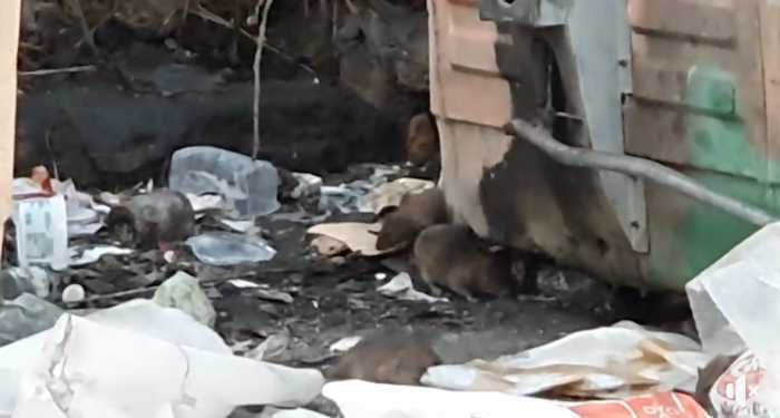 Schermata 2020-01-16 alle 05.56.04