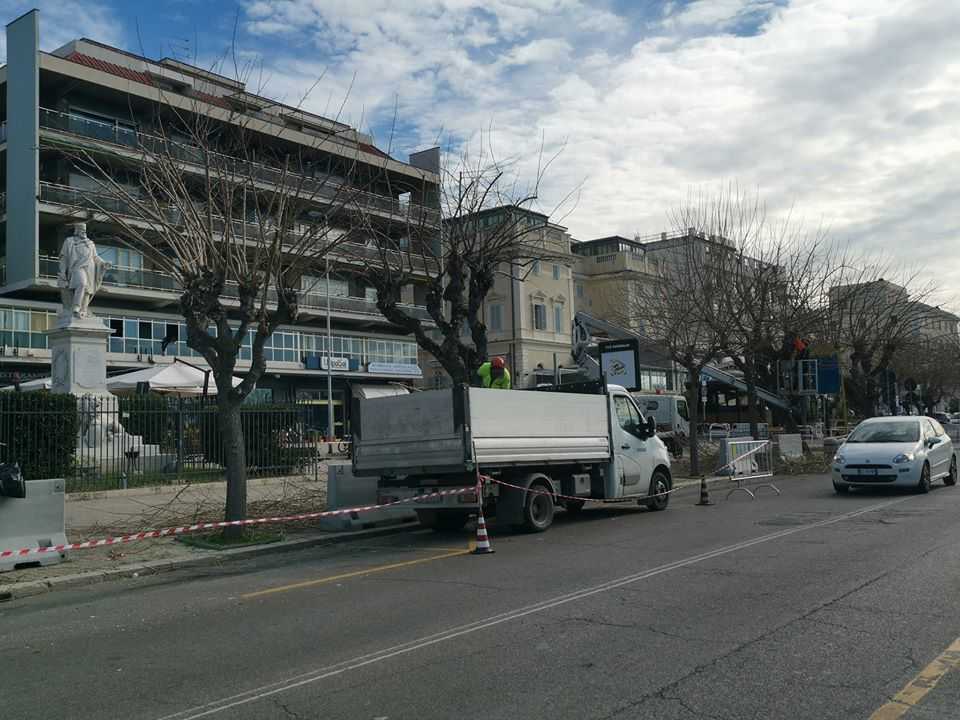 alberi alberature civitavecchia