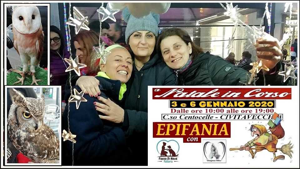 Civitavecchia, Natale in Corso per sostenere Emergenze Pelose e Fiocco di Neve. Bene il primo appuntamento