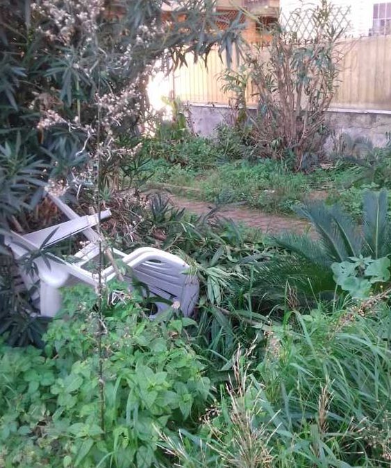 Ladispoli, degrado nei giardini dietro la stazione