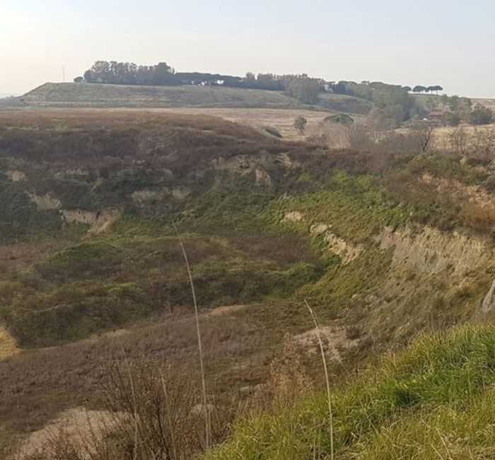 monteCarnevale-600×558