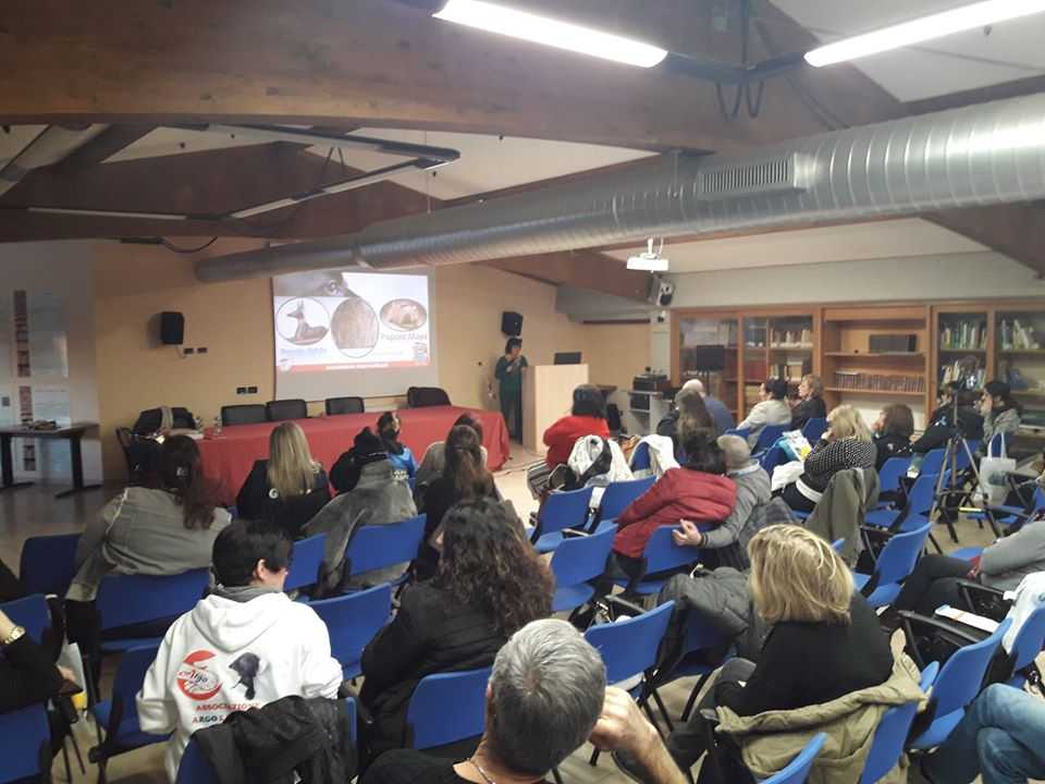 argo ladispoli gepa ecozoofila