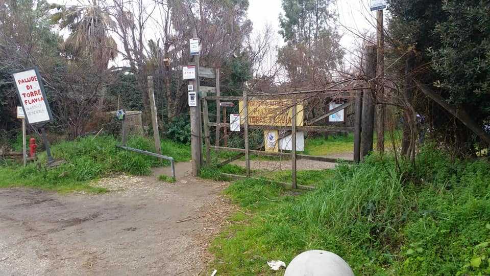palude torre flavia palude torre flavia
