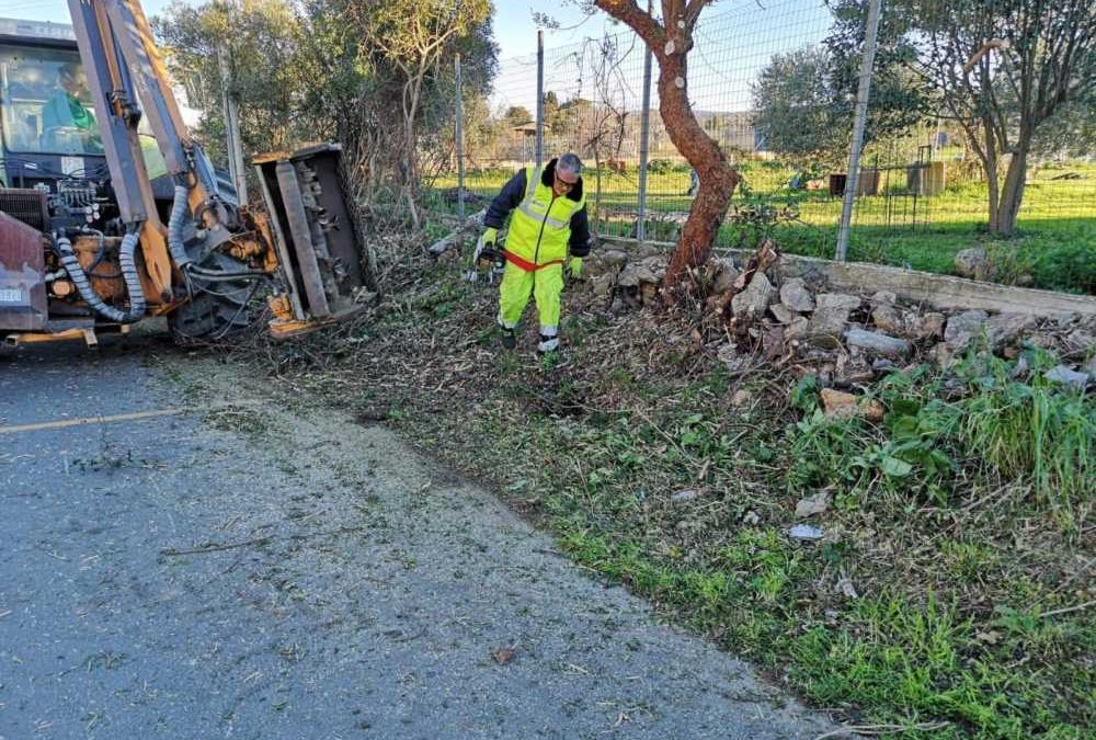 Lunedì manutenzione del verde a San Liborio