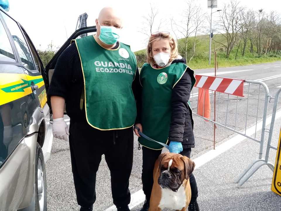 cagnolone zoofile cerveteri fiumicino cagnolone zoofile cerveteri fiumicino