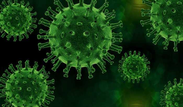 covid 19 coronavirus