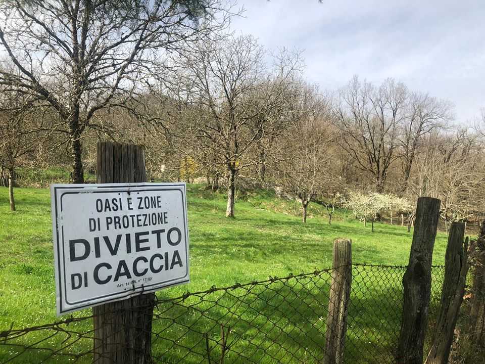 divieto di caccia area protetta
