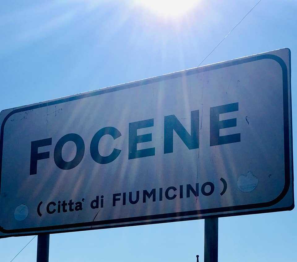 focene 1 focene 1