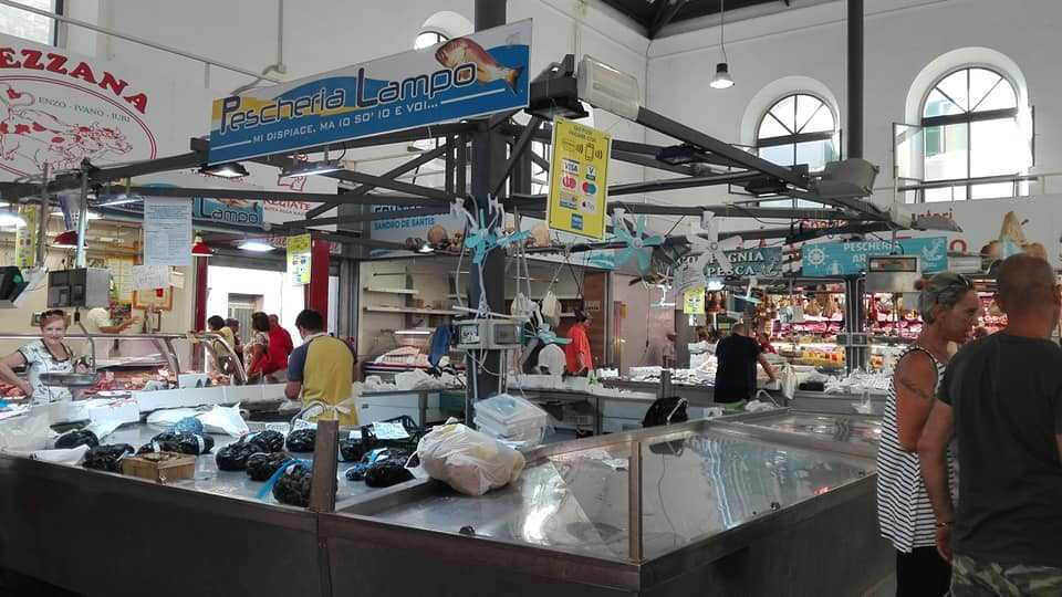 mercato pesce coperto civitavecchia mercato pesce coperto civitavecchia