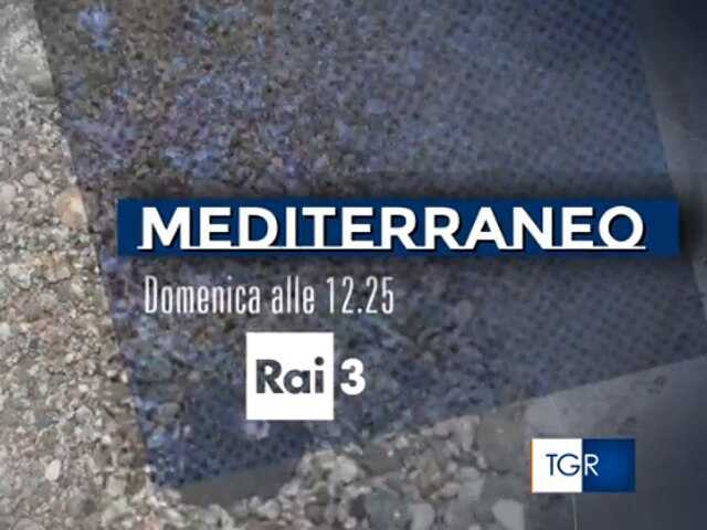Ladispoli a Mediterraneo oggi su Rai 3