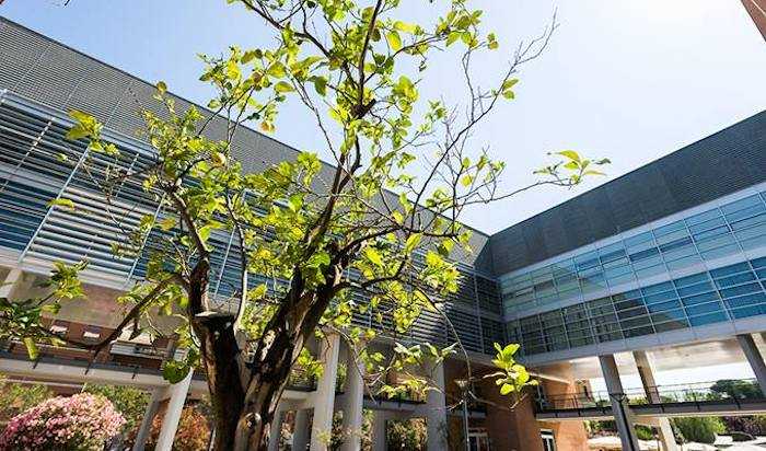 Roma Tre, Fp Cgil: “I servizi esternalizzati non essenziali vanno sospesi”