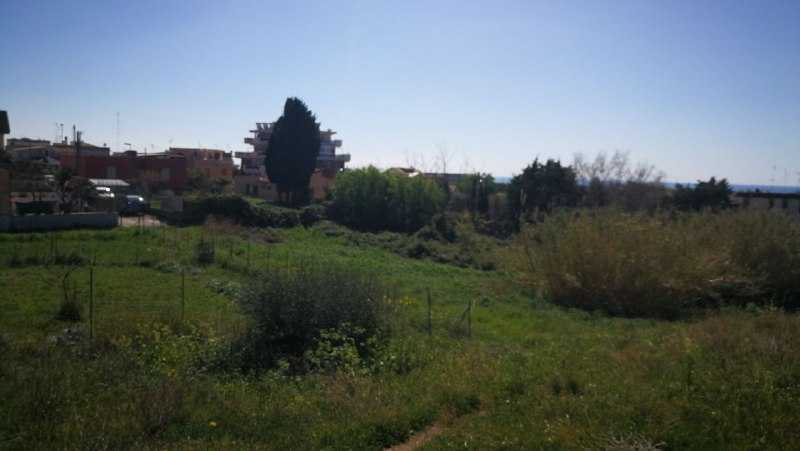 Usi Civici, Petrelli: “Non serve un tavolo per Civitavecchia”