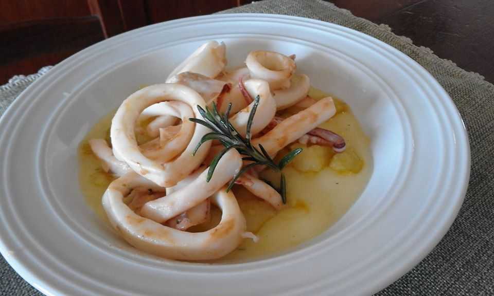 calamaro civitavecchiese calamaro civitavecchiese